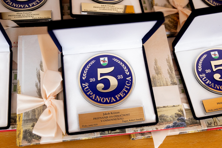 PODELITEV PRIZNANJ ZA ODLIČNOST V OSNOVNI ŠOLI 12.6.2025 - Valter Leban-9772